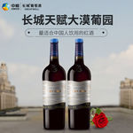 简洁个性葡萄酒海报
