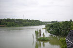 湿地湖面 湿地绿树