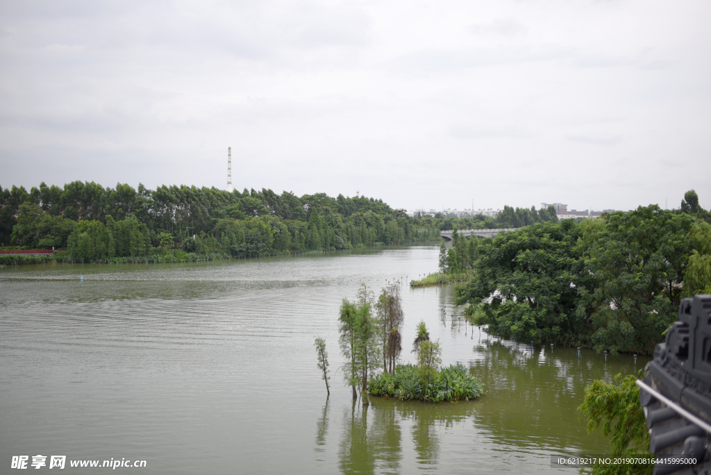 湿地湖面 湿地绿树