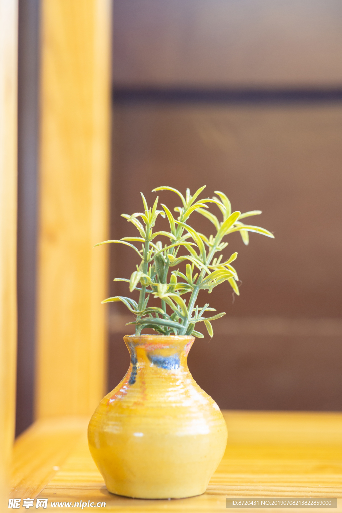 小植物摆件观赏花花瓶葫芦瓶