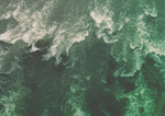 大海