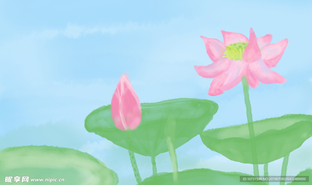 荷花池