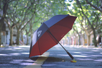 雨伞素材