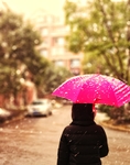 雨伞素材