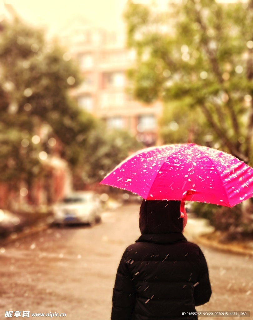 雨伞素材
