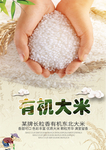 有机大米海报设计