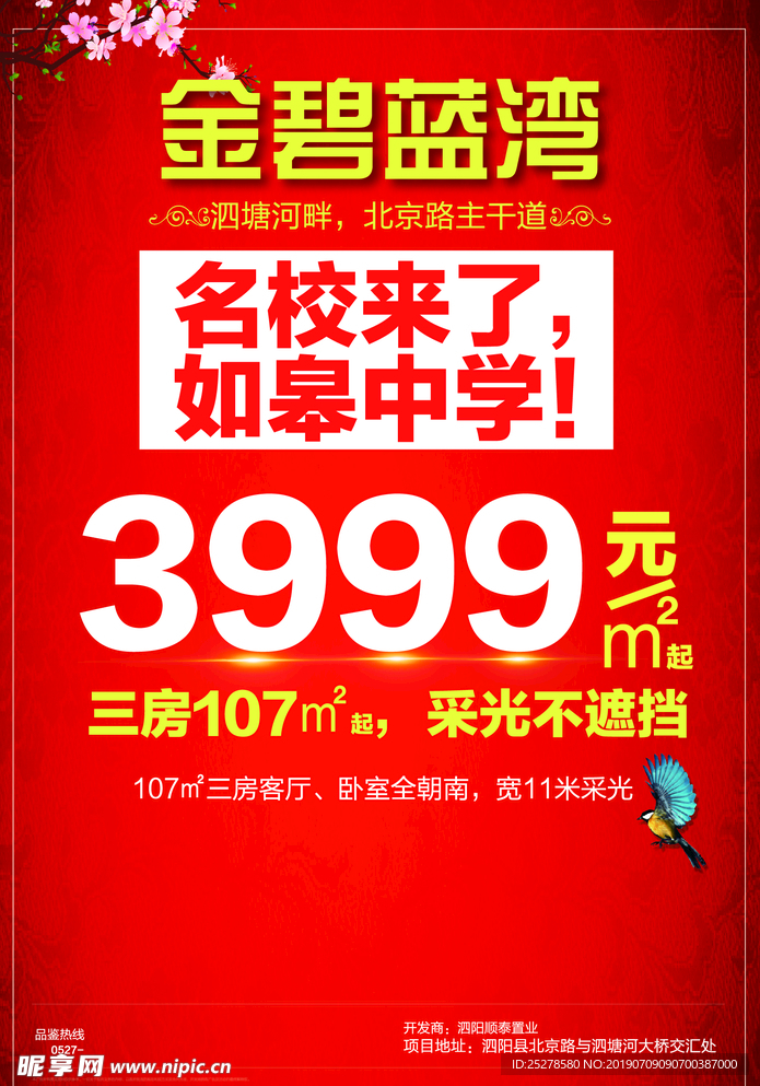 DM正面