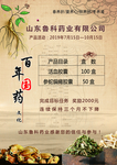 药业宣传单