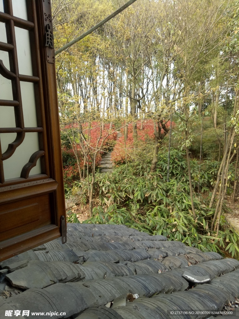 窗外