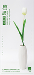 教师节