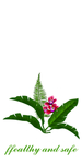 北欧植物