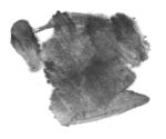 玄关画 壁画