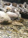 山间流水