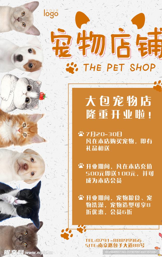 宠物店海报 美容 猫猫 狗
