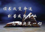 标语