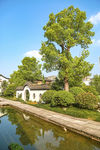 自然风景杭州梦想小镇