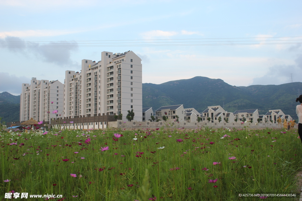 田野小区风景