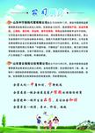 保险宣传单页