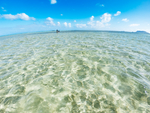 清澈的海水