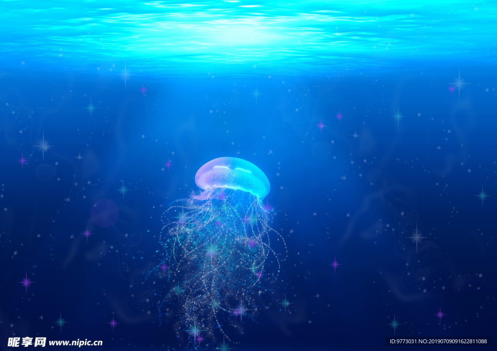水母