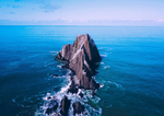 大海