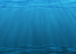 大海