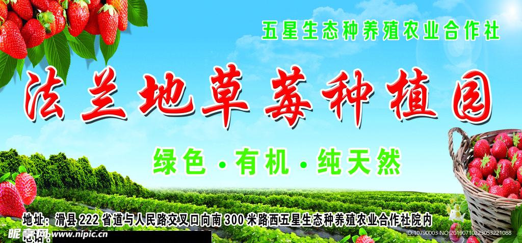草莓种植园