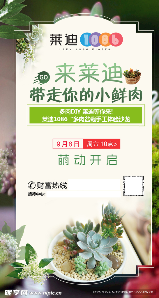 飞机稿 微信稿 多肉 绿植