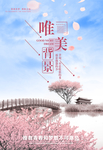 唯美