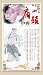 肩颈护理海报