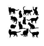 猫剪影