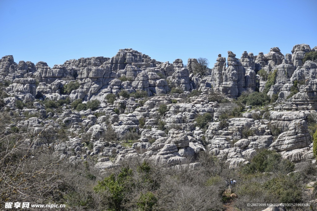山