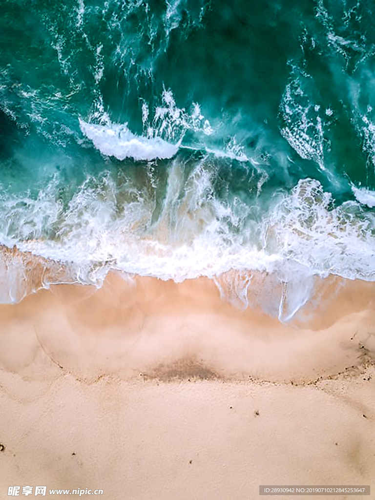 海洋