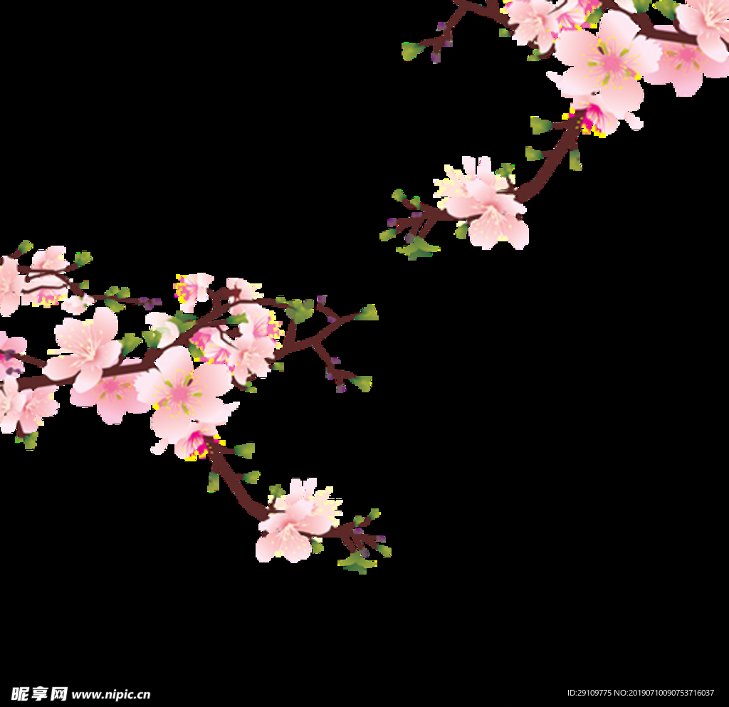 桃花
