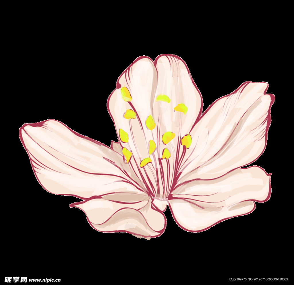 樱花