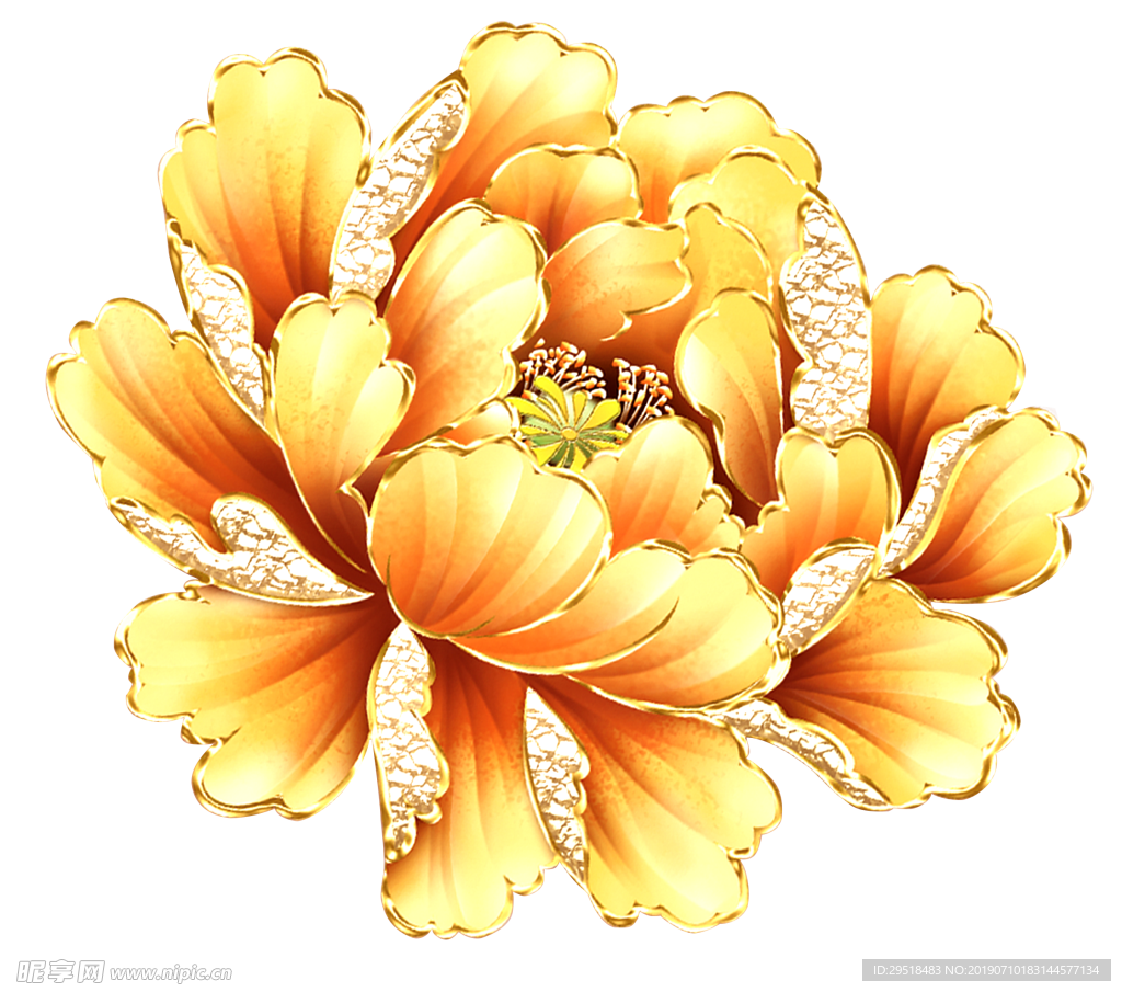 金色的花