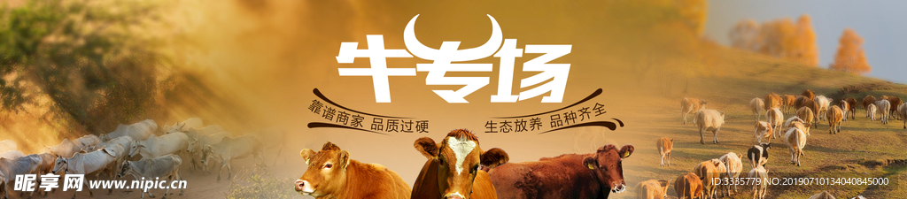 牛专场 banner