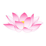 卡通手绘矢量粉色莲花荷花插画图