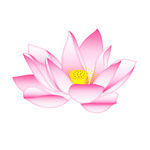 手绘矢量粉色莲花荷花插画图