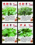 野菜馆