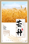 芒种海报 芒种素材 芒种背景素