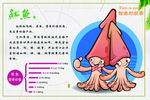 鱿鱼海报