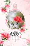 杜鹃花节旅行社海报