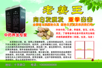 老姜王