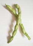 营养 绿色 蔬菜 四季豆 美食