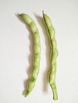 营养 绿色 蔬菜 四季豆 美食