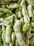 营养 绿色 蔬菜 四季豆 美食