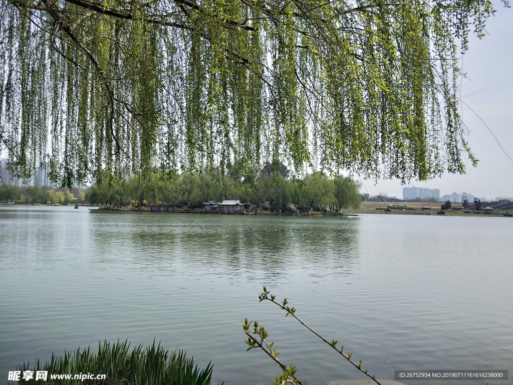 风景