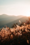 山 云 黑 白 黑白 自然 景