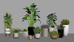 绿植盆栽3d组合模型